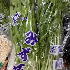 水菜