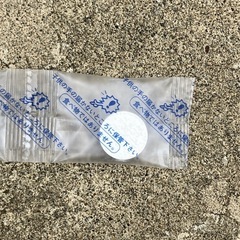 楊貴妃　メダカ　8匹の画像