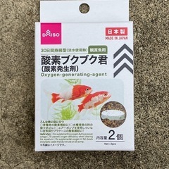 楊貴妃　メダカ　8匹の画像