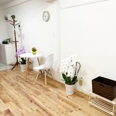 練馬で大人気!!優良店引継ぎ採用!!スタッフ1人お客様1人の女性専用のプライベートサロンの画像