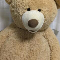 コストコ くまのぬいぐるみの画像