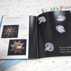 キンダーブック　しぜん4冊とどんぐり絵本の画像