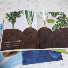 キンダーブック　しぜん4冊とどんぐり絵本の画像