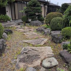 庭石の画像