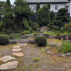 庭石の画像
