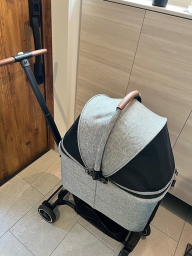 エアバギー ウィズ