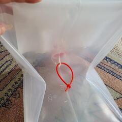 お値下げ‼️キャンプ　災害　折りたたみポリタンク10L の画像