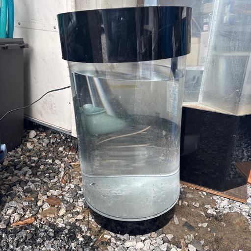 円柱水槽②‼