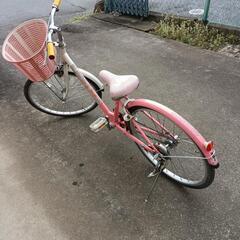 22インチ子供用自動車の画像