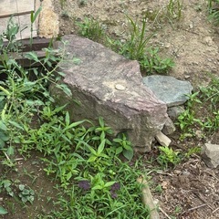 大きい庭石 多数 写真以外にもあります。の画像