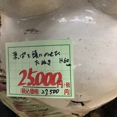 葉っぱを頭にのせた たぬき H60cm 管G250705AK (ベストバイ 静岡県袋井市)の画像