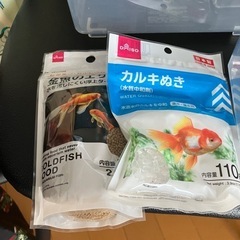 虫かごの画像