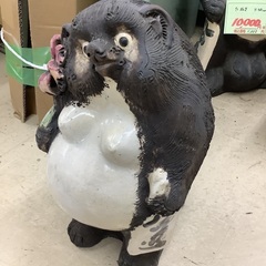 メス たぬき H37cm 管G250705BK (ベストバイ 静岡県袋井市)の画像