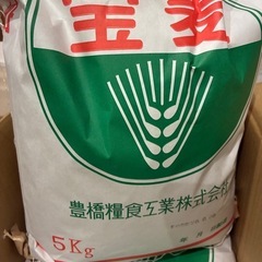 宝麦の画像