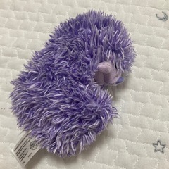 なでなでクルンっ！　ハリネズミの画像