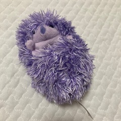 なでなでクルンっ！　ハリネズミ
