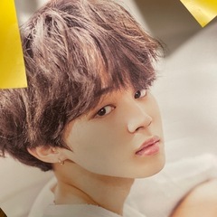 BTS BT21 ジミン　チミー　グッズの画像