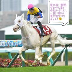 競馬好き、お喋り大好きな新メンバー求む🦄