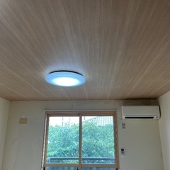 木目天井