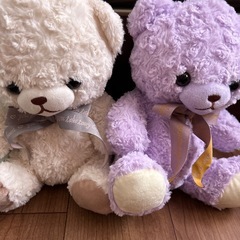 ウサギとクマぬいぐるみの画像
