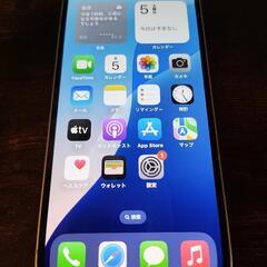 超美品 Apple iPhone 13 256G スターライト SIMフリーの画像