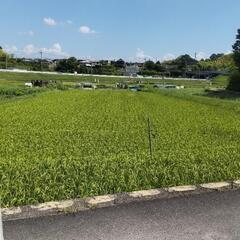 河合町農地２反売ります。田んぼ・畑に最適