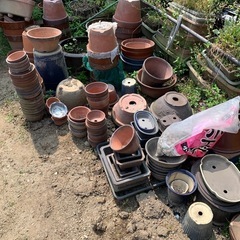 和鉢（写真参考）
の画像