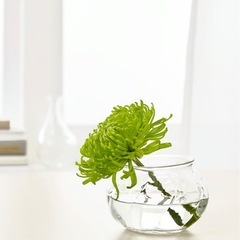 IKEA VILJESTARK イケア ヴィリエスタルク 2個セットの画像