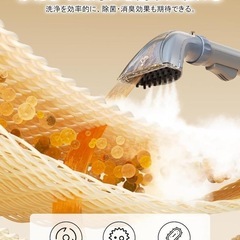 新品未使用　100℃蒸気噴射 2in1スチーム掃除機 カーペットクリーナー の画像