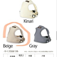 Solgra ホワイト 猫用ハーネス　Mサイズの画像