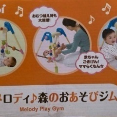 コンビメリー 光ってメロディ森のおあそびジムの画像