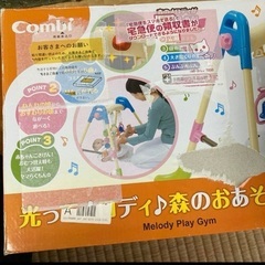 コンビメリー 光ってメロディ森のおあそびジムの画像