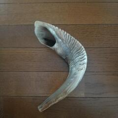 ショファールの画像