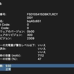 MacBook Pro（16インチ,2019）2TB/32GB〈MVVJ2J/A〉④の画像
