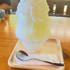 今日(7/5)に遊べる人！
