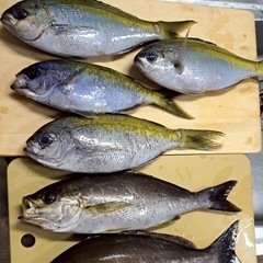 釣りに行きましょう🎣 - 友達