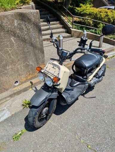 ズーマー50cc早いもの勝ち‼️