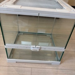 爬虫類・小動物ガラスゲージ30cmキューブの画像