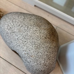 爬虫類・小動物ガラスゲージ30cmキューブの画像