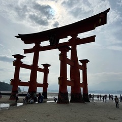 今から秋葉