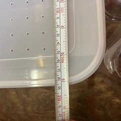 昆虫飼育容器の画像