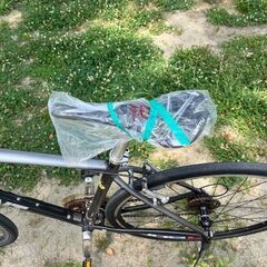 ジャイアント　GIANT ESCAPE R3　ガンメタリック　3×8　の画像