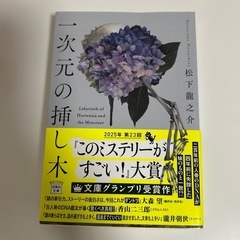 小説　一次元の挿し木