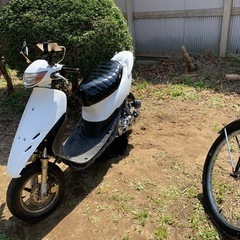 ZXロンホーの画像
