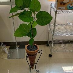0705-145 イミテーション観葉植物