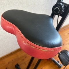 STEADY エアロバイクの画像