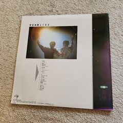 安全地帯 2枚組  LPレコードの画像