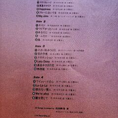 安全地帯 2枚組  LPレコードの画像