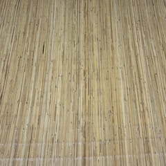 たけ風敷物の画像