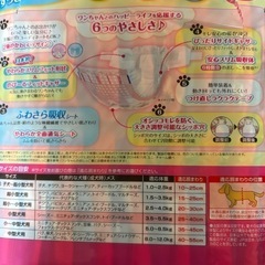 今日取りに来ていただける方限定☆ユニ・チャームペットマナーウェア♡♡女の子用の画像